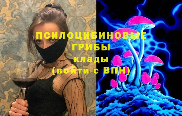 винт Белокуриха